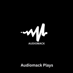 2500 Audiomack Plays